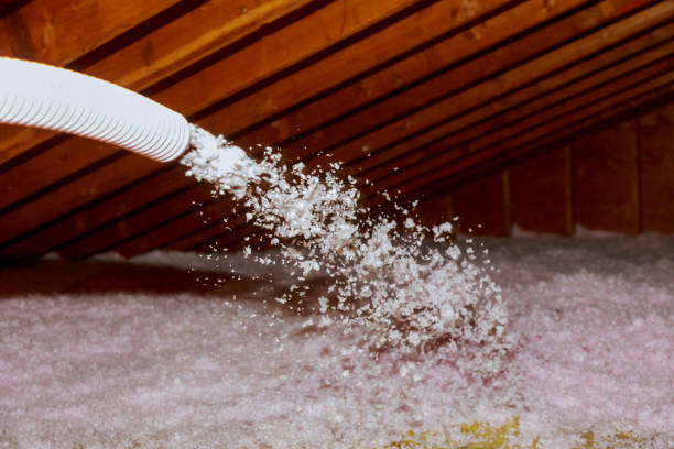 Best Spray Foam Insulation in Lake Shastina, CA