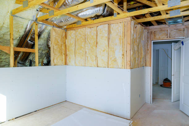 Best Eco-Friendly Insulation in Lake Shastina, CA