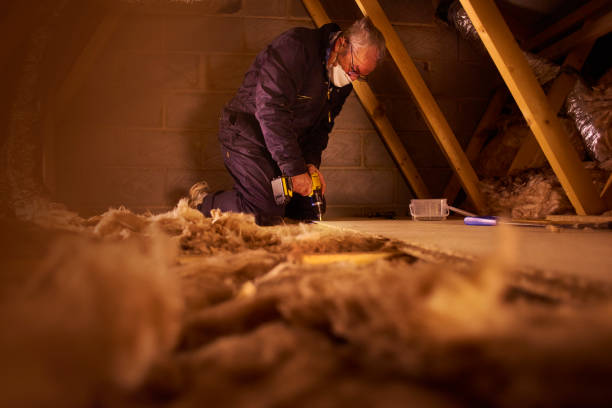 Best Cellulose Insulation in Lake Shastina, CA